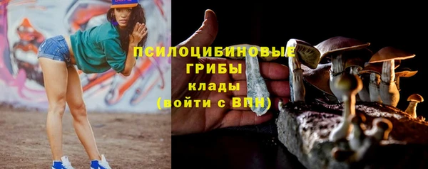 бошки Дмитров