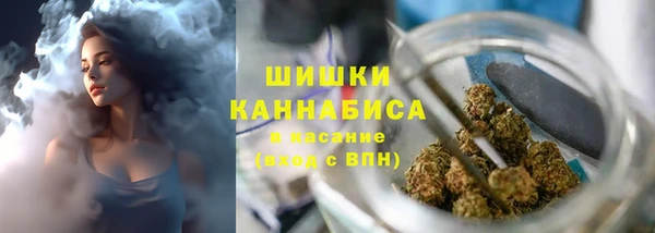 бошки Дмитров