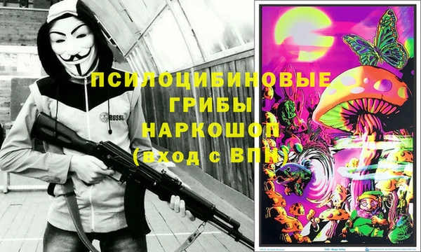 скорость Дмитриев