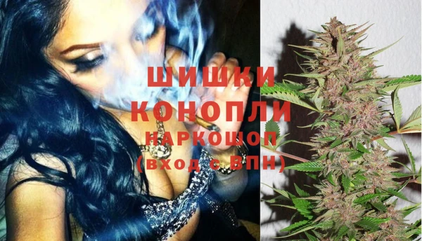бошки Дмитров